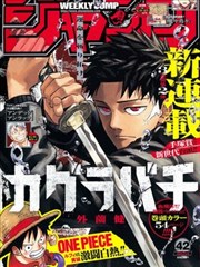 武道狂潮 漫画免费在线观看
